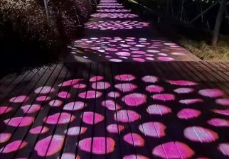 road projection light